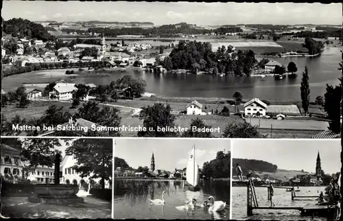 Ak Mattsee in Salzburg, Gesamtansicht, Schwäne auf dem See, Freibad