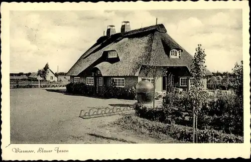 Ak Wiesmoor in Ostfriesland, Blauer Fasan, Inhaber W. Linne