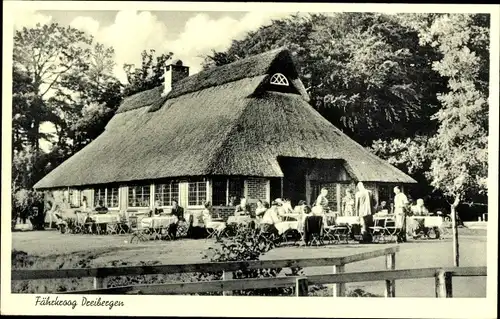 Ak Bad Zwischenahn, Fährkroog Dreibergen, Gäste, Terrasse