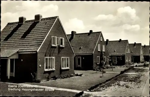 Ak Esens Ostfriesland, Siedlung Hayungshauser Straße