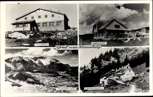 Ak Puchberg am Schneeberg in Niederösterreich, Fischerhütte, Damböckhaus, Baumgartnerhaus