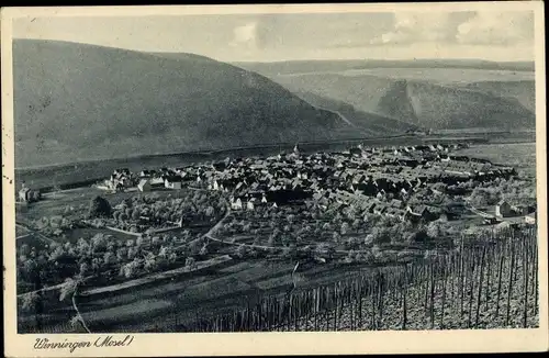 Ak Winningen an der Mosel, Weinhaus Hoffnung, Gesamtansicht