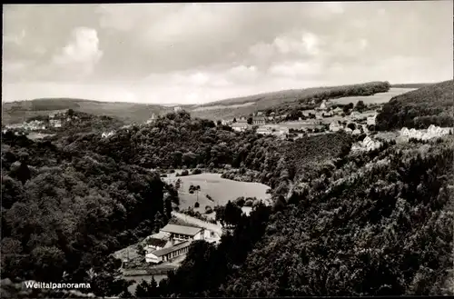 Ak Neuweilnau Weilrod im Taunus, Panorama