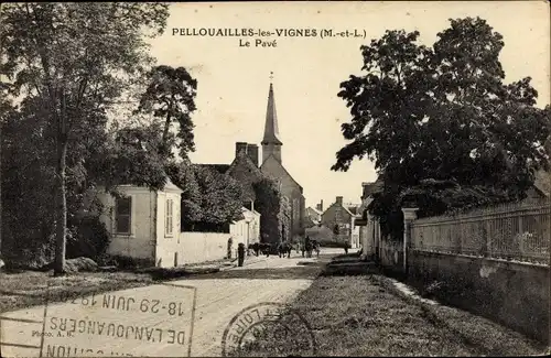 Ak Pellouailles les Vignes Maine et Loire, Le Pave
