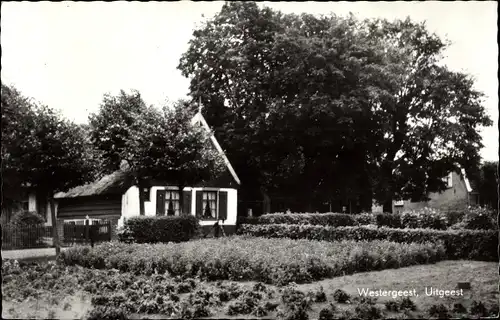 Ak Uitgeest Nordholland Niederlande, Westergeest