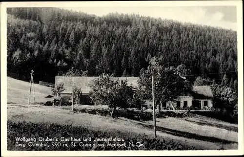 Ak St Corona am Wechsel in Niederösterreich, Gasthaus, Jausenstation, Berg Odenhof