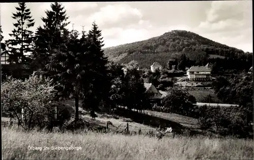 Ak Königswinter am Rhein, Ölberg, Panorama