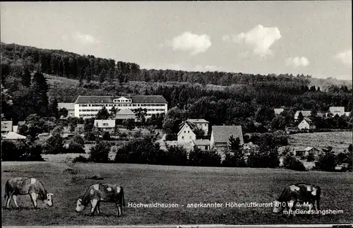 Ak Ilbeshausen Hochwaldhausen Grebenhain Hessen, Genesungsheim, Kühe weiden