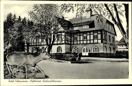 Ak Ilbeshausen Hochwaldhausen Grebenhain Hessen, Hotel Felsenmeer