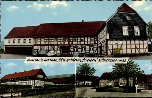 Ak Münchehof Seesen am Harz, Gasthof Zum goldenen Loewen