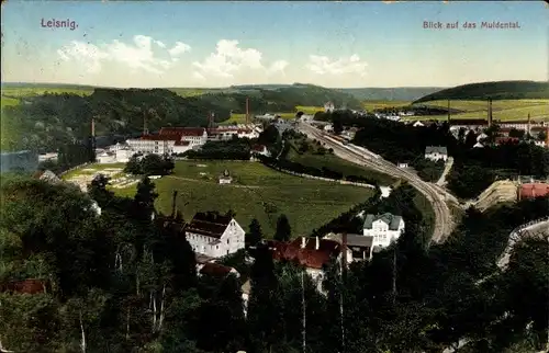 Ak Leisnig in Sachsen, Muldental, Gesamtansicht