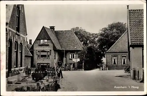 Ak Avenhorn Nordholland Niederlande, 't Hoog