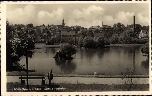 Ak Schlettau im Erzgebirge Sachsen, Schwanenteich