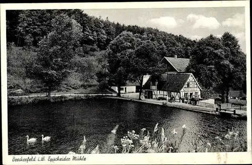 Ak Breckerfeld in Westfalen, Epscheider Mühle, Erholungsheim der Naturfreunde, Schwäne