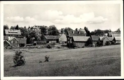 Ak Hohegeiß Braunlage im Oberharz, Panorama