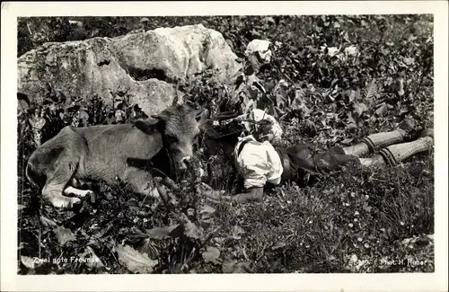 Ak Zwei gute Freunde, Junge in Lederhose, Kalb
