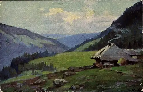 Künstler Ak Reiss, Fritz, Sommer im Schwarzwald