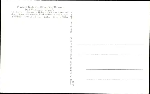 Ak Mermuth im Hunsrück, Pension Kalter, Wasserfall, Panorama