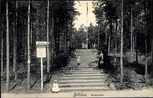 Ak Dresden Bühlau, Waldpark, Treppen, Kinder