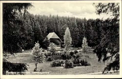 Ak Braunlage Oberharz, Verlobungswiese mit Bänken