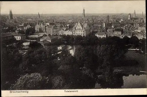 Ak Braunschweig in Niedersachsen, Panorama