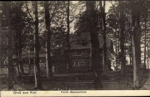 Ak Hansestadt Kiel, Forst Baumschule