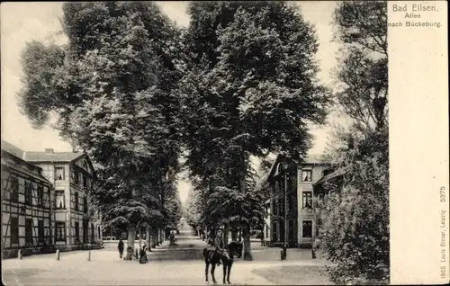 Ak Bad Eilsen Niedersachsen, Allee nach Bückeburg