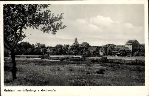 Ak Neustadt am Rübenberge, Amtswerder, Teilansicht