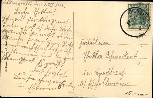 Ak Dilsberg Neckargemünd am Neckar, Panorama, Dilsberger Hof, Schloss, Gasthaus