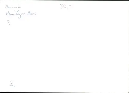 Foto Meiningen in Thüringen, Henneberger Haus