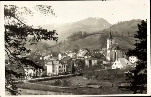 Foto Ak Türnitz in Niederösterreich, Blick auf den Ort