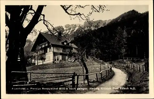 Ak Edlach an der Rax Niederösterreich, Pension Knappenhof