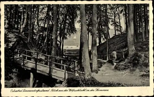 Ak Ostseebad Timmendorfer Strand, Blick aus der Wolfsschlucht in der Kammen