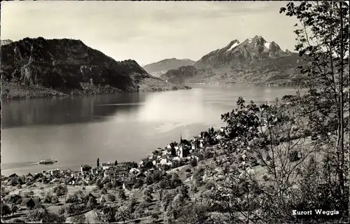 Ak Weggis Kanton Luzern, Bürgenstock, Pilatus, Vierwaldstättersee