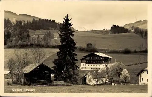 Ak Goldegg im Pongau in Salzburg, Teilansicht