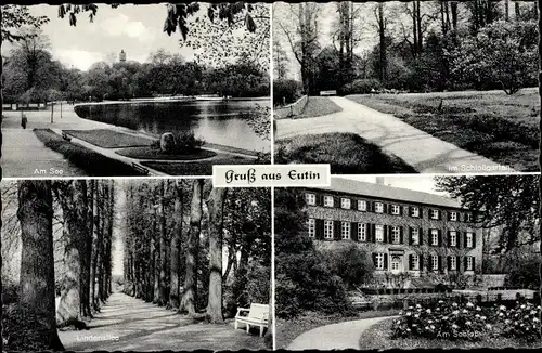 Ak Eutin in Ostholstein, See, Schloss, Schlossgarten, Lindenallee