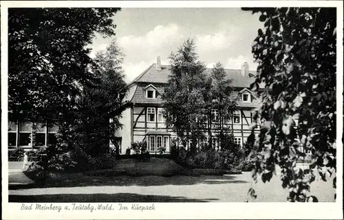 Ak Bad Meinberg am Teutoburger Wald, Im Kurpark