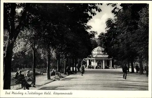 Ak Bad Meinberg am Teutoburger Wald, Kurpromenade