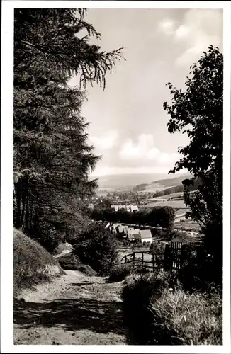 Ak Bruchhausen Höxter an der Weser, Waldweg