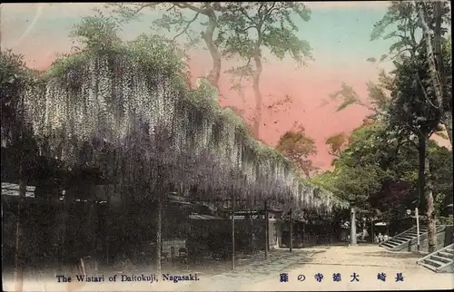 Ak Nagasaki Präfektur Nagasaki Japan, Daitokuji Park, Wisteria, Blauregen
