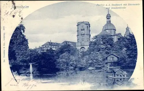 Ak Mannheim in Baden, Stadtpark mit Sternwarte und Jesuitenkirche, Entenfhaus