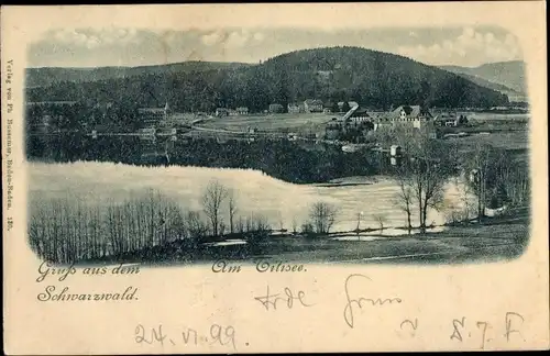 Ak Titisee Neustadt im Breisgau Hochschwarzwald, Blick über den See