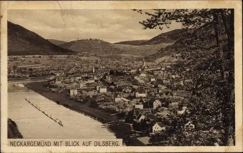 Ak Dilsberg Neckargemünd am Neckar, Totalansicht der Ortschaft