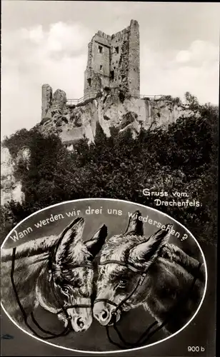 Ak Königswinter am Rhein, Ruine Drachenfels, Eselsköpfe