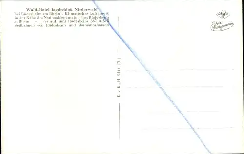 Ak Rüdesheim am Rhein, Waldhotel Jagdschloss Niederwald