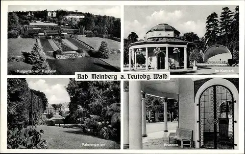 Ak Horn Bad Meinberg Nordrhein Westfalen, Im Kurpark, Brunnen, Palmengarten, Kurheim