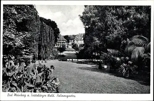 Ak Horn Bad Meinberg im Kreis Lippe, Palmengarten