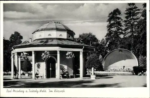 Ak Bad Meinberg am Teutoburger Wald, Im Kurpark