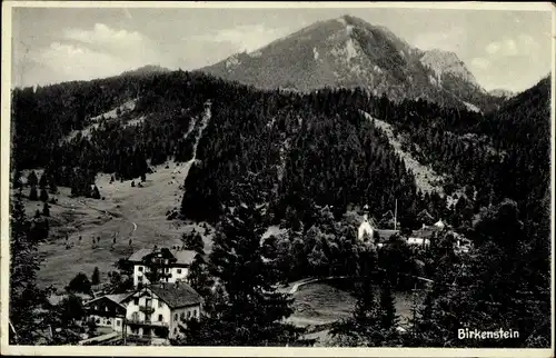 Ak Birkenstein im Leitzachtal Oberbayern, Blick auf die Stadt und die Alpen