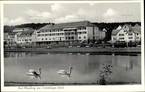 Ak Bad Meinberg am Teutoburger Wald, Kurheim Roland, Haus Stork, Haus Seeblick, Schwäne